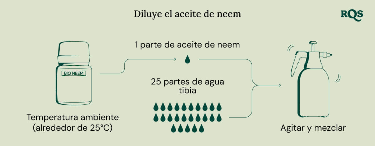 Diluting neem oil