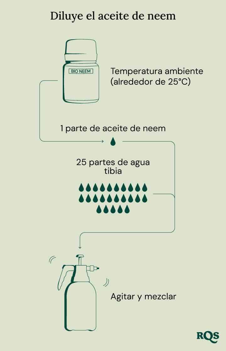 Diluting neem oil