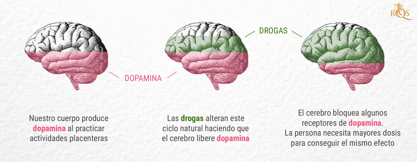 ¿Cuál es la relación entre marihuana y dopamina?