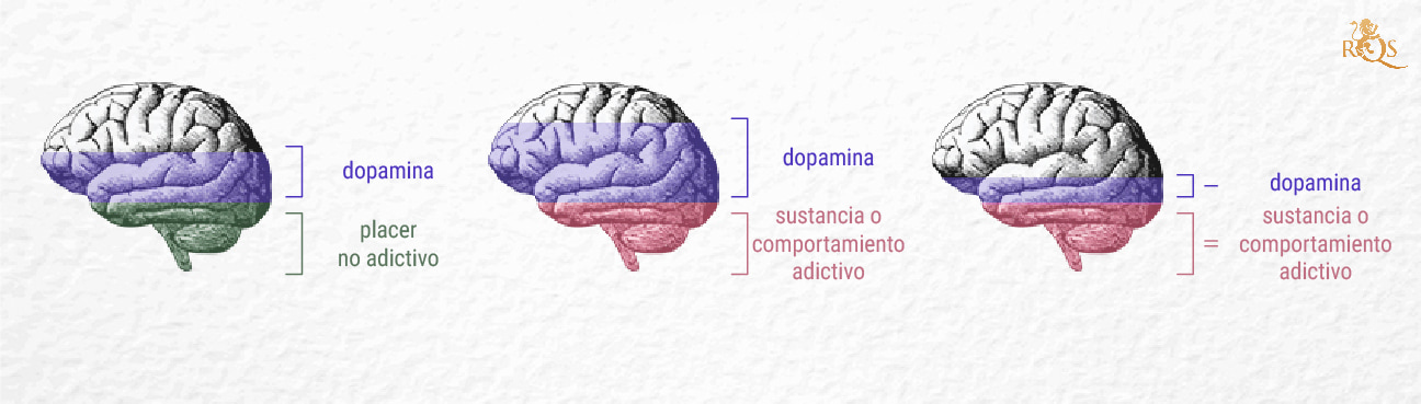 ¿Qué es la adicción? ¿Qué es la adicción?