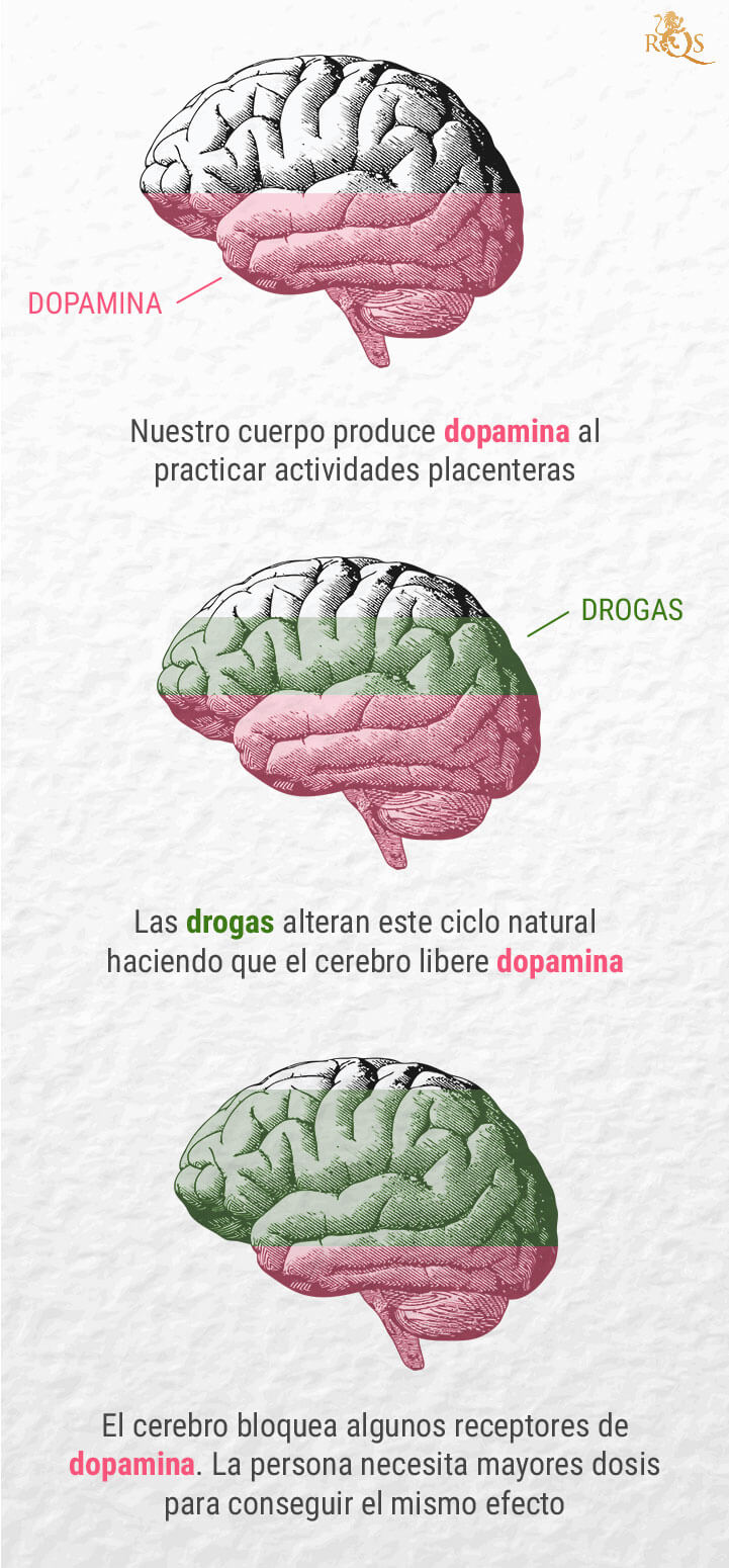 ¿Cuál es la relación entre marihuana y dopamina?