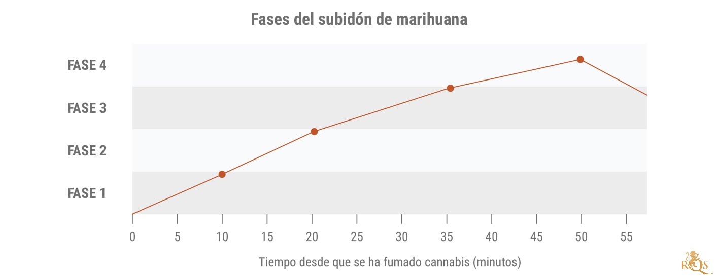 Fases del subidón de marihuana