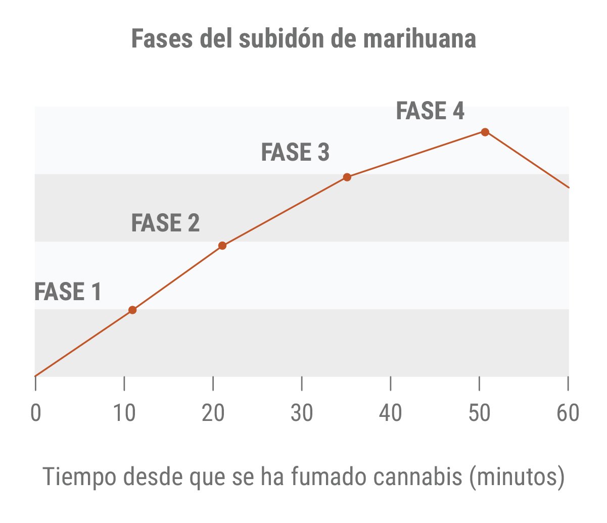 Fases del subidón de marihuana