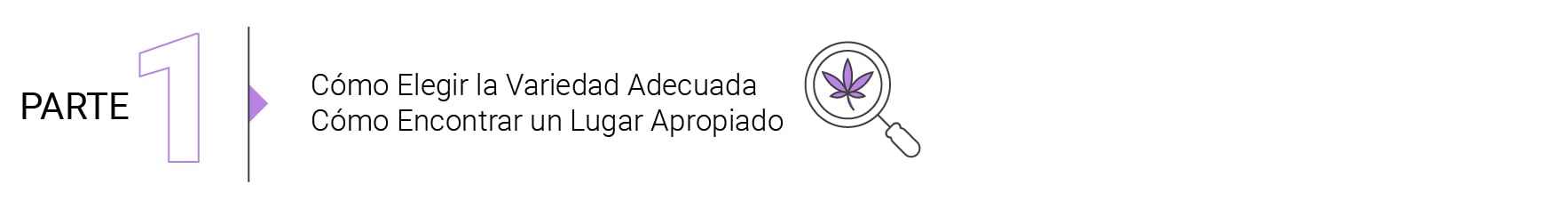 Bases del Cultivo de Marihuana en Exterior (Parte 2)