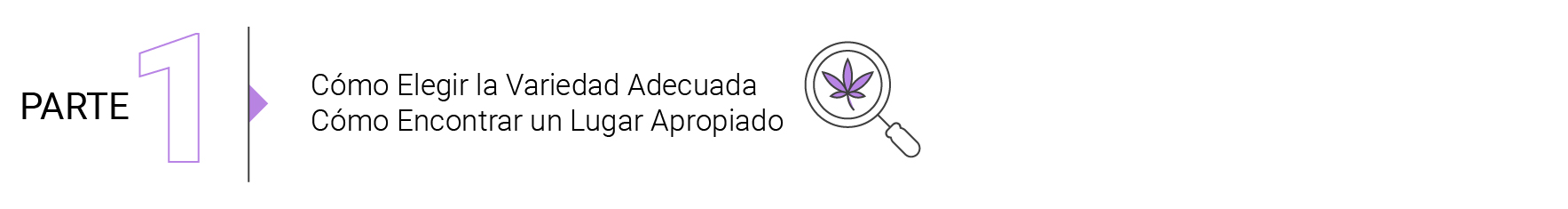 Fundamentos del Cultivo de Marihuana en Exterior (Parte 3)