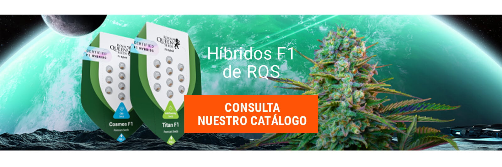 Dónde es legal comprar semillas de Marihuana?