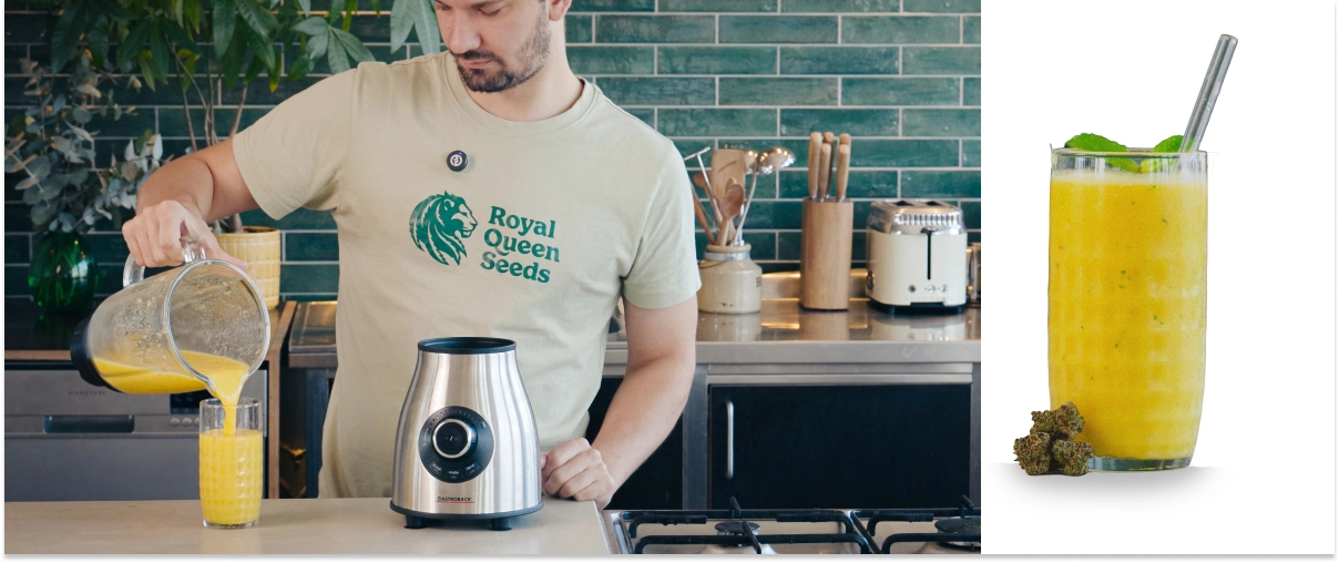 Triturando un smoothie de cannabis y mango y sirviendo la bebida terminada en un vaso, lista para disfrutar con una textura suave y cremosa.