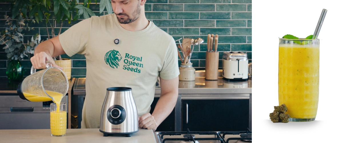 Triturando un smoothie de cannabis y mango y sirviendo la bebida terminada en un vaso, lista para disfrutar con una textura suave y cremosa.