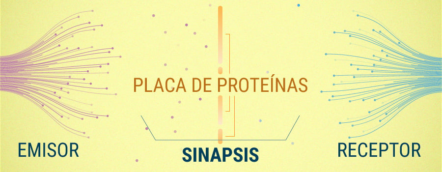 Eucalyptol Terpeno Contra La Enfermedad De Alzheimer