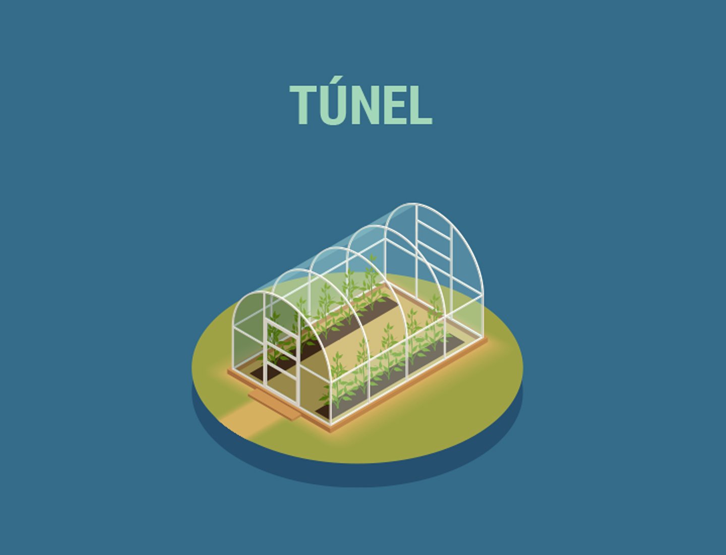 Invernaderos de túnel (Quonset)