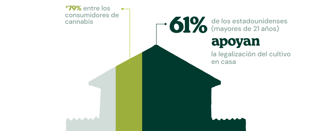 Infografía que muestra que el 61 % de los estadounidenses mayores de 21 años apoya la legalización del autocultivo, una cifra que sube al 79 % entre los consumidores de cannabis.
