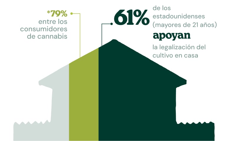 Infografía que muestra que el 61 % de los estadounidenses mayores de 21 años apoya la legalización del autocultivo, una cifra que sube al 79 % entre los consumidores de cannabis.