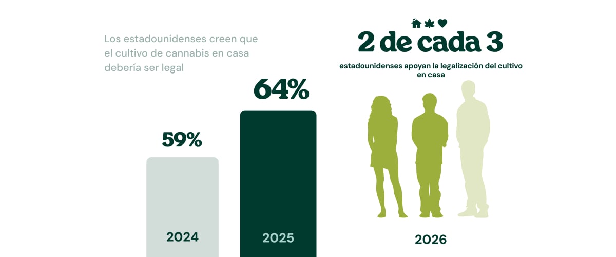 Infografía que muestra que el 76 % de los consumidores de cannabis prefieren el colocón del cannabis al efecto del alcohol.