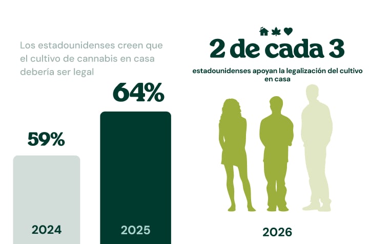 Infografía que muestra que el 76 % de los consumidores de cannabis prefieren el colocón del cannabis al efecto del alcohol.