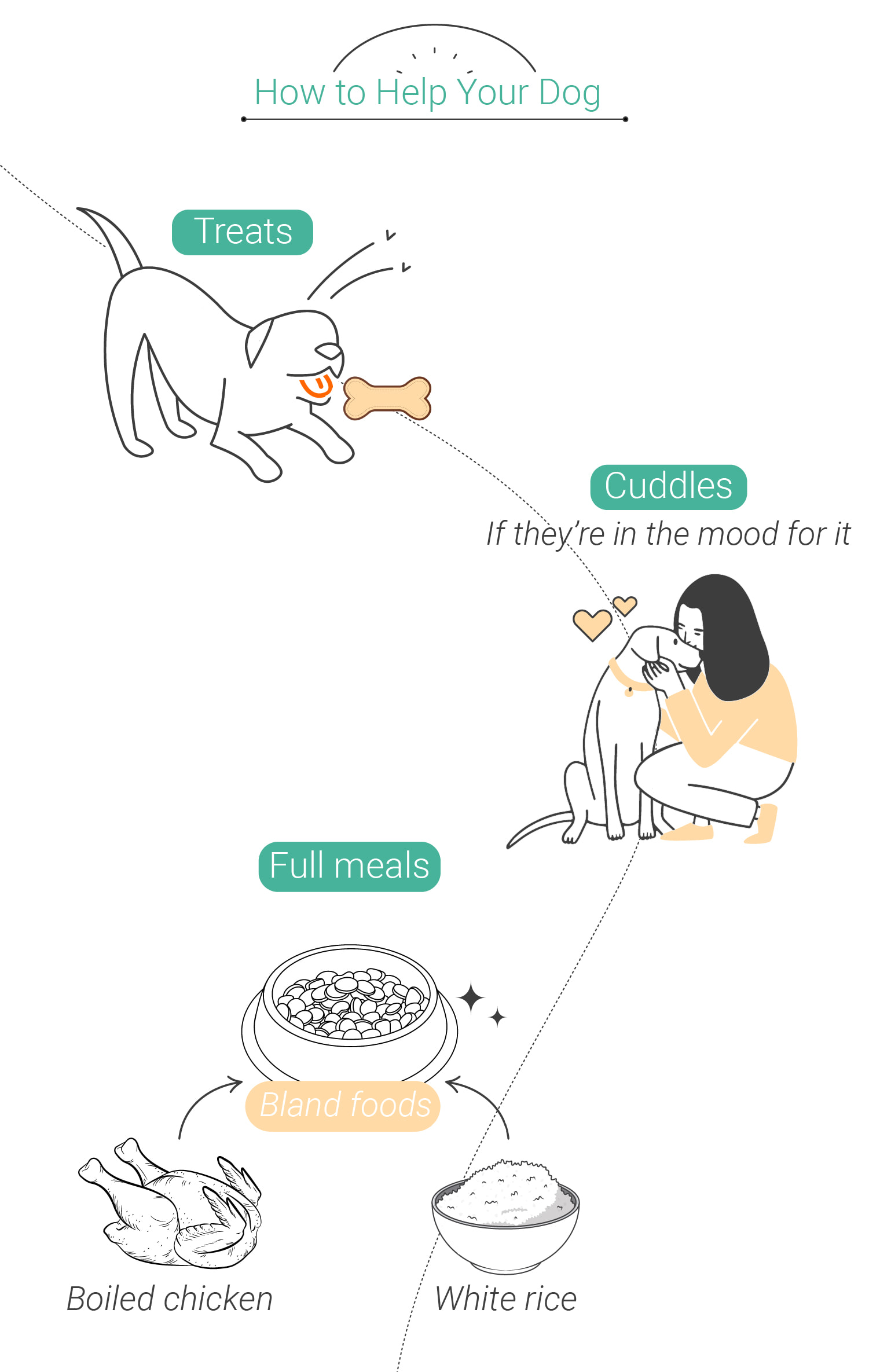 Mascotas y toxicidad del cannabis: qué hacer si tu perro se come tu hierba Mascotas y toxicidad del cannabis: qué hacer si tu perro se come tu hierba