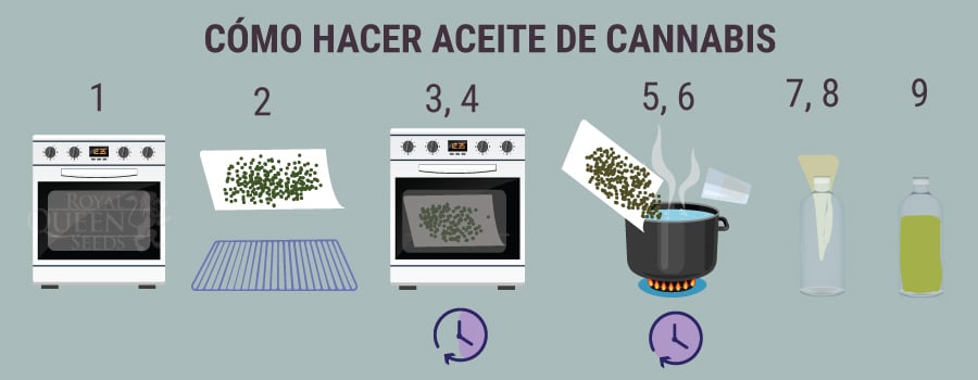 CÓMO HACER ACEITE DE CANNABIS 