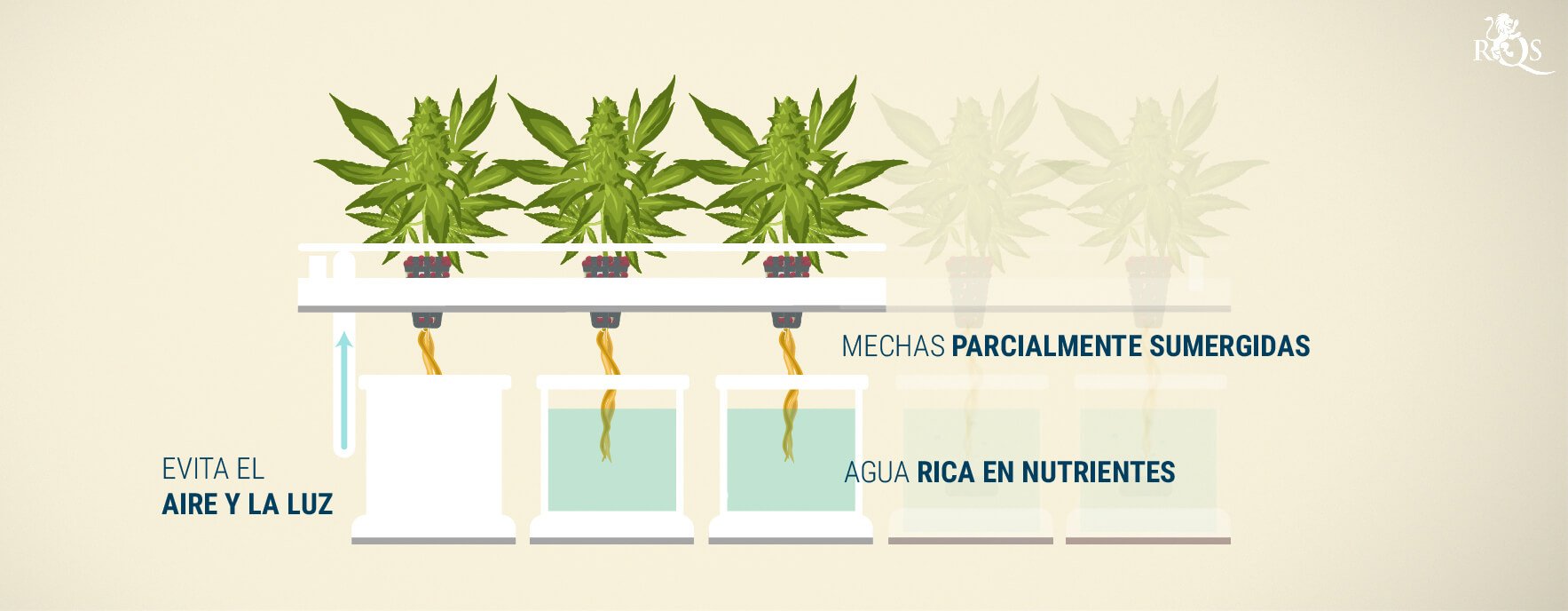 Sistema de mecha