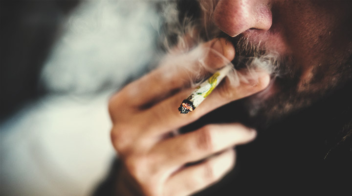 ¿Cómo se consume el CBD? ¿Cómo se consume el CBD?