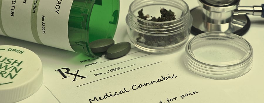 Legal Cannabis Doctor