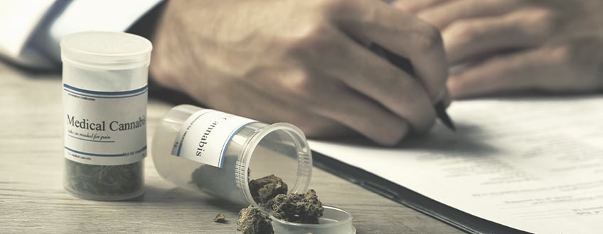 Cannabis medicinal para controlar el dolor