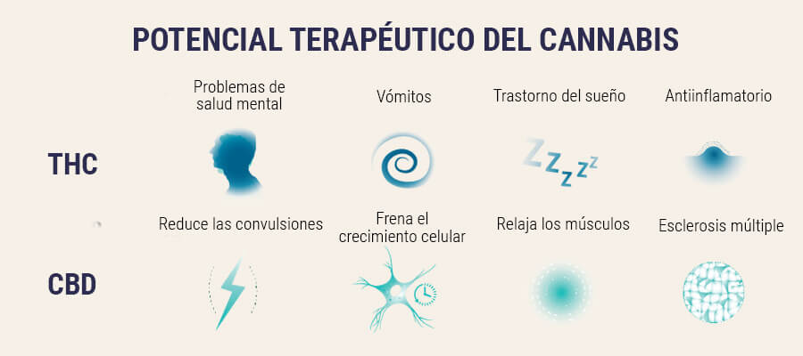 Semillas de cannabis medicinal Semillas de cannabis medicinal