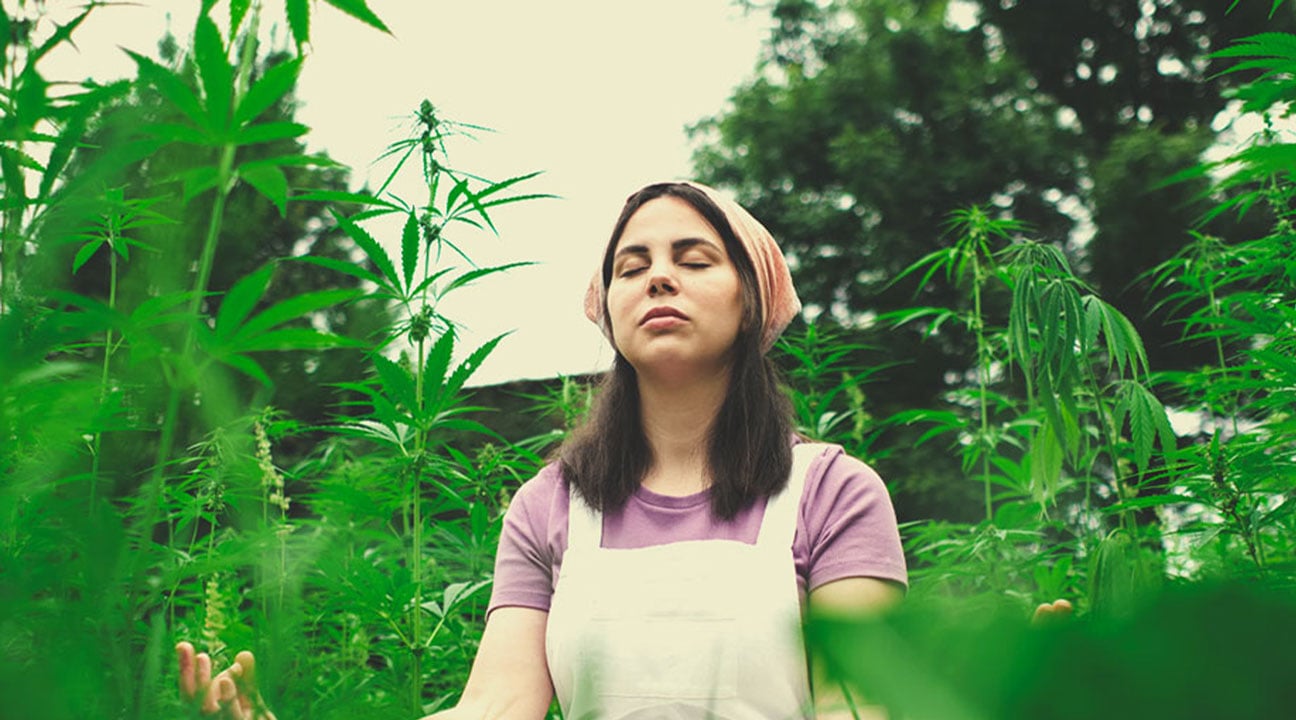 ¿Puedes compartir con nosotros alguna práctica que podamos utilizar para meditar con marihuana?