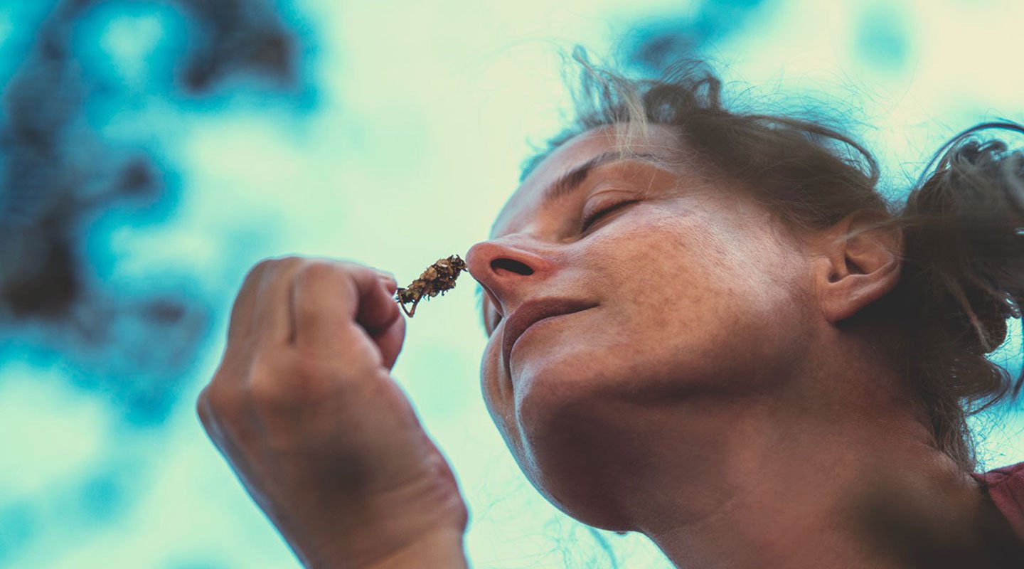 ¿Puede la marihuana ayudar a las personas a lidiar con la ansiedad, el estrés, la pérdida de peso, dejar de beber alcohol…?