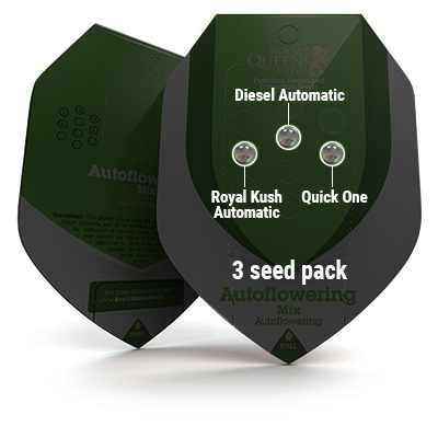3 Seed RQS Autoflowering Mix