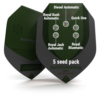 5 Seed RQS Autoflowering Mix