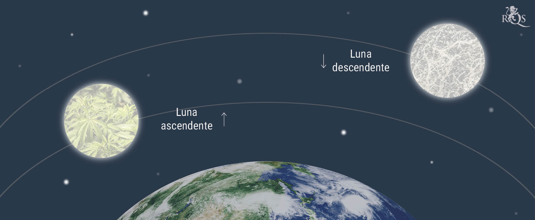 ¿Cómo afecta la Luna al cultivo de marihuana? ¿Cómo afecta la Luna al cultivo de marihuana?