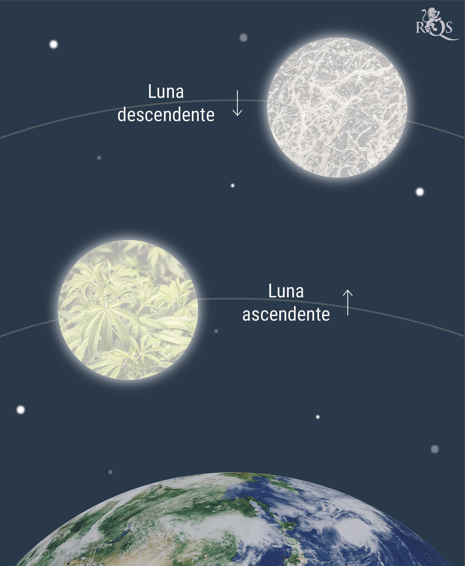 ¿Cómo afecta la Luna al cultivo de marihuana? ¿Cómo afecta la Luna al cultivo de marihuana?