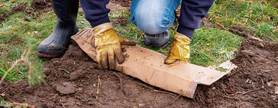 No Till Gardening Technique