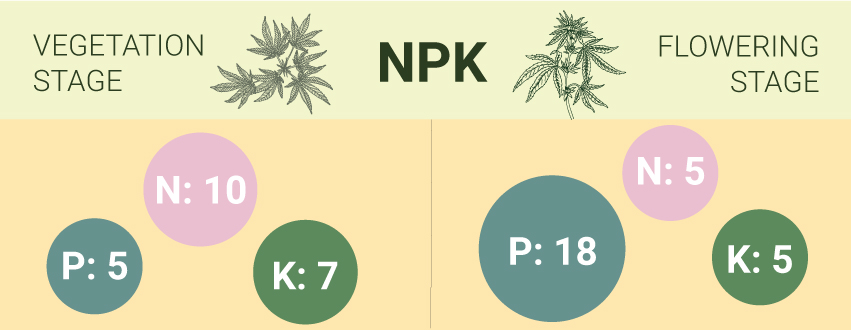 Conceptos Básicos Sobre El Suelo Y La Nutrición Del Cannabis Conceptos Básicos Sobre El Suelo Y La Nutrición Del Cannabis