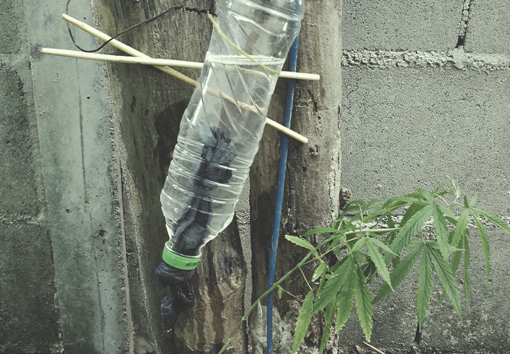 Cómo montar un sistema de riego con botellas de goteo en exterior Cómo montar un sistema de riego con botellas de goteo en exterior