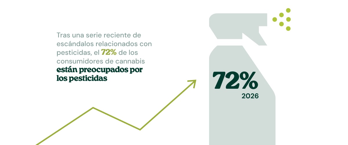 Infografía que muestra el aumento de la preocupación por los pesticidas en el cannabis comprado en tiendas.