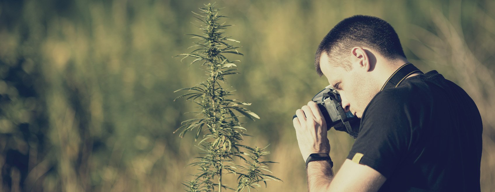 ¿Podrías compartir con nosotros unos consejos para hacer fotografías creativas del cannabis?