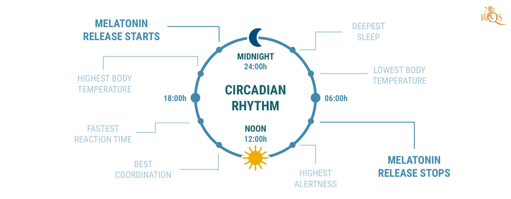 ¿Qué es el ritmo circadiano?
