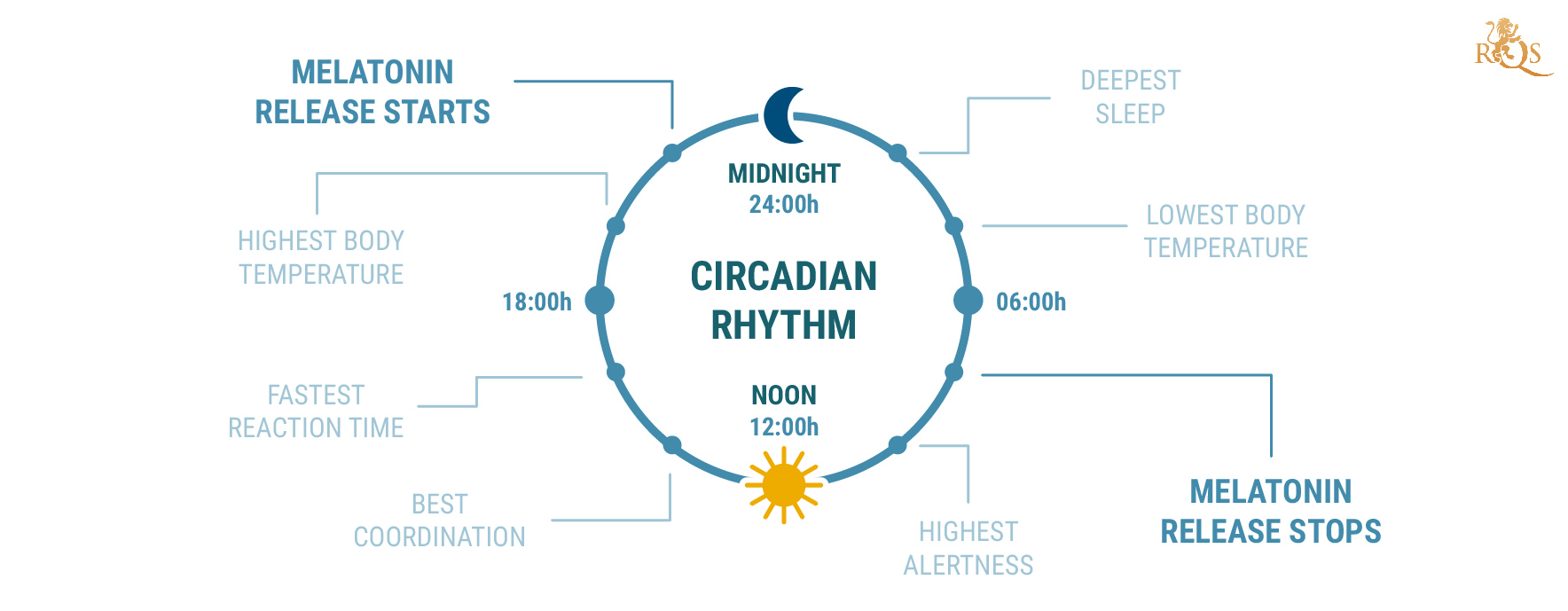 ¿Qué es el ritmo circadiano? ¿Qué es el ritmo circadiano?