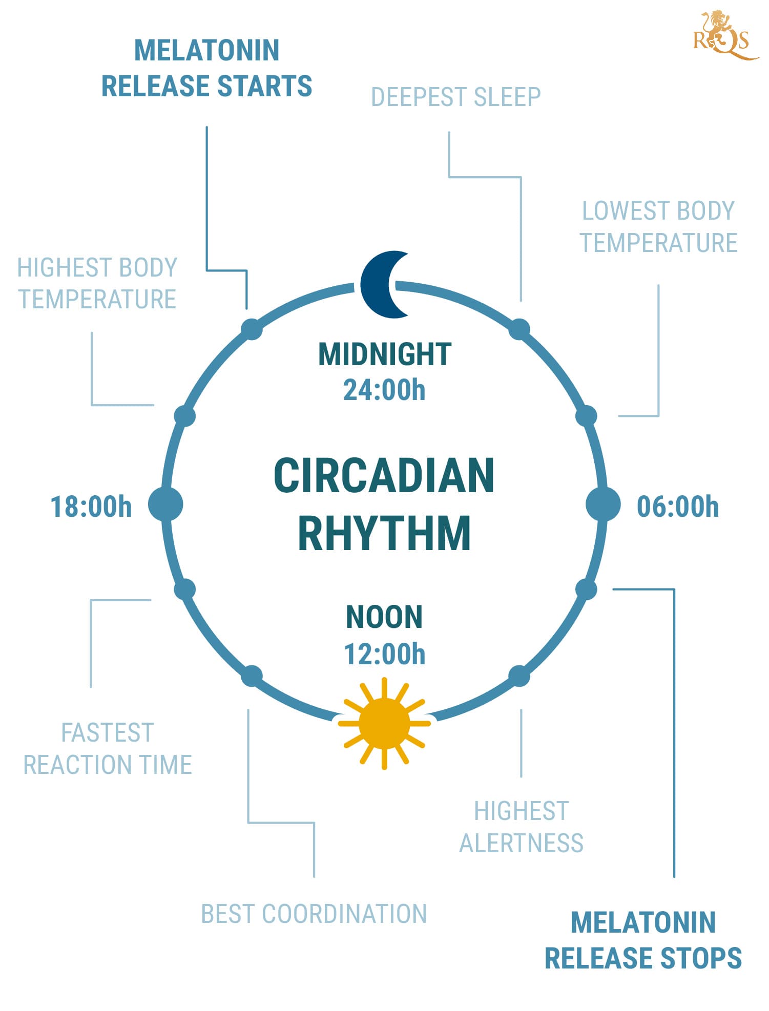 ¿Qué es el ritmo circadiano? ¿Qué es el ritmo circadiano?
