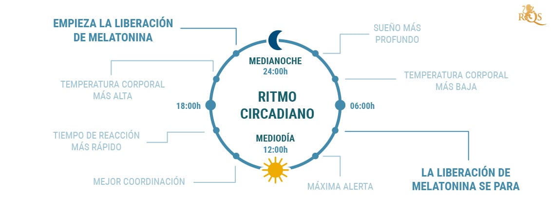 ¿Qué es el ritmo circadiano?