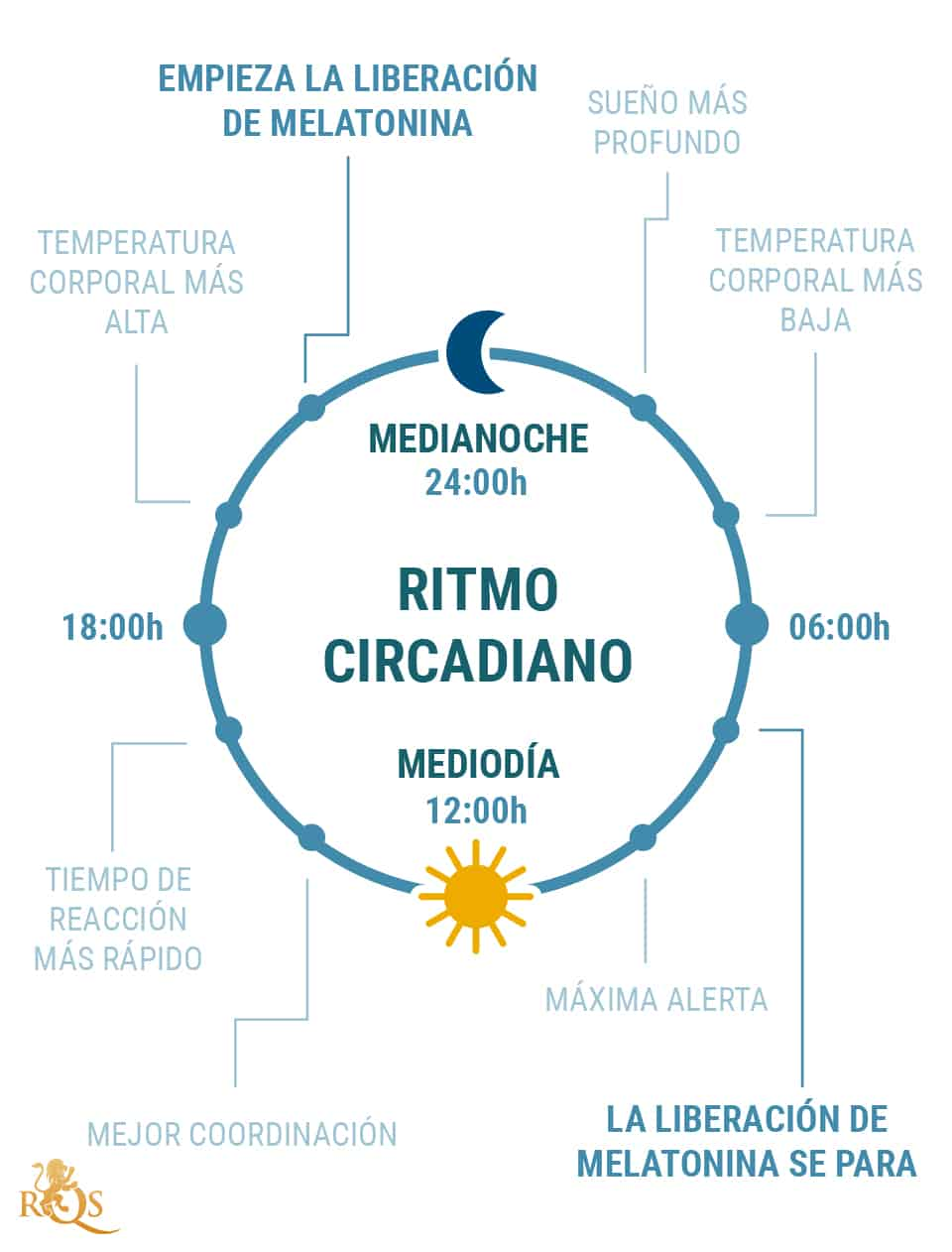 ¿Qué es el ritmo circadiano?