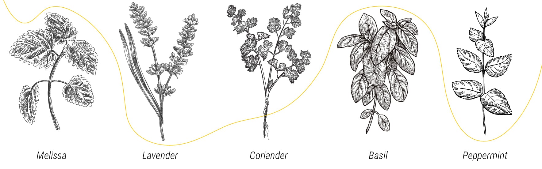 How To Prevent Pests From Invading Your Outdoor Cannabis Grow