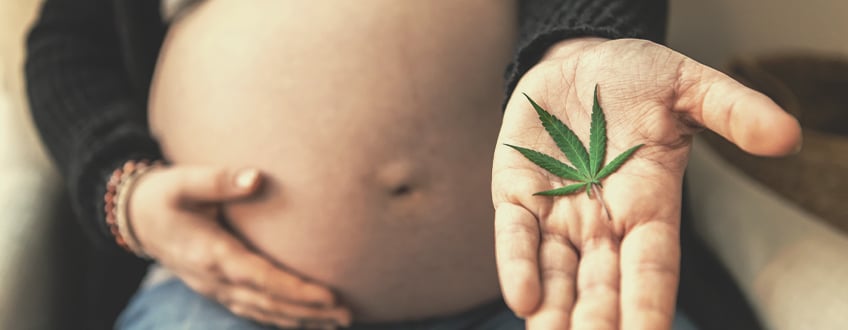 ¿Cuáles son los posibles riesgos asociados al consumo de marihuana durante el embarazo?