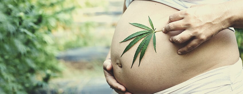 Consumo de marihuana y CBD durante el embarazo