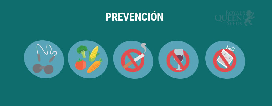 Prevención