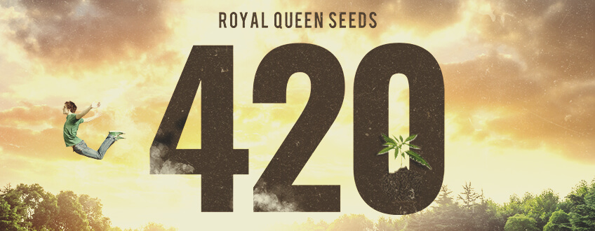 El 420 en Royal Queen Seeds
