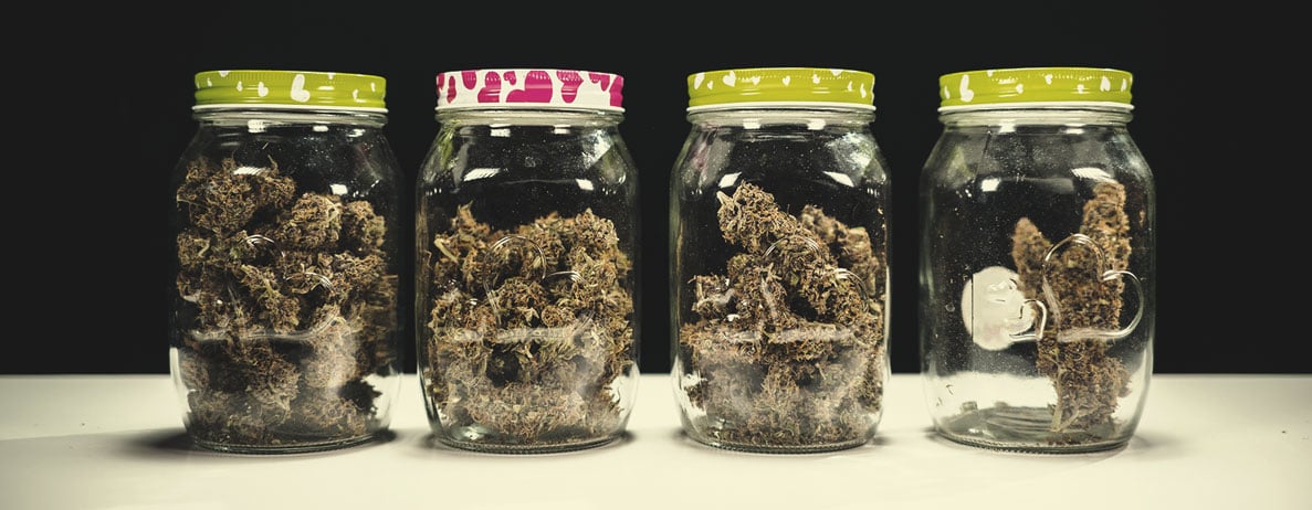 Calidad del cannabis