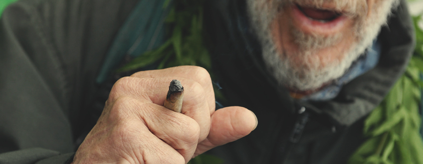 EL MOVIMIENTO DEL CANNABIS EN ESPAÑA