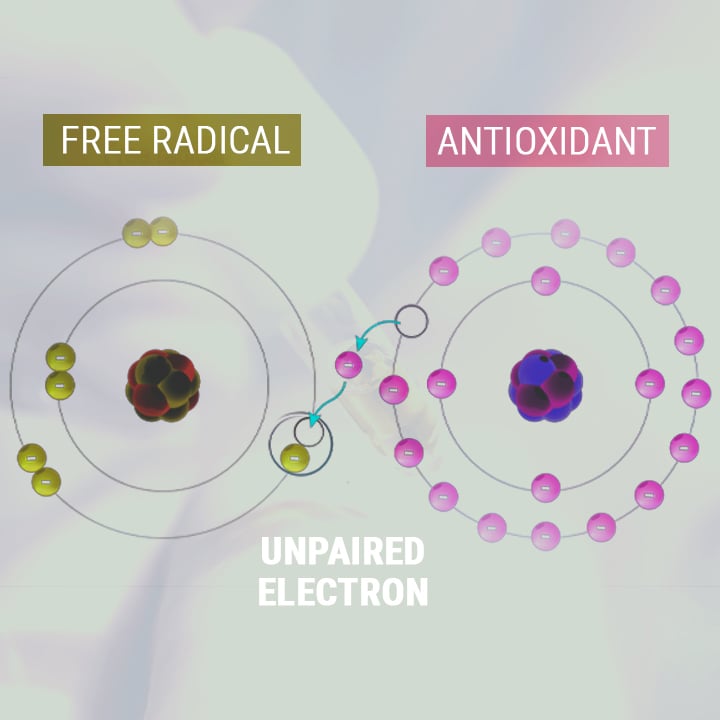 ACEITE DE CBD COMO ANTIOXIDANTE ACEITE DE CBD COMO ANTIOXIDANTE
