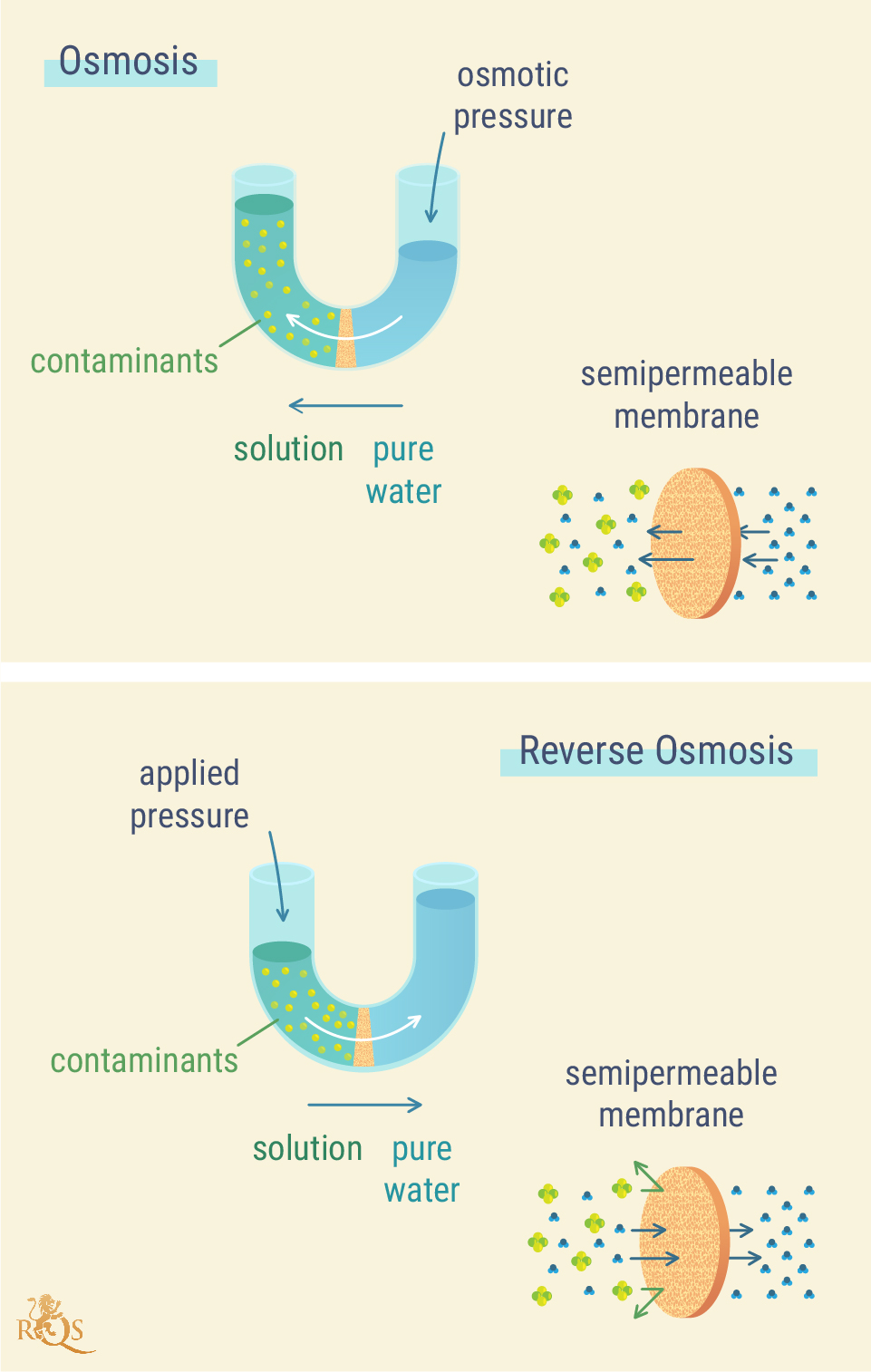 ¿Cómo funciona la ósmosis inversa? ¿Cómo funciona la ósmosis inversa?